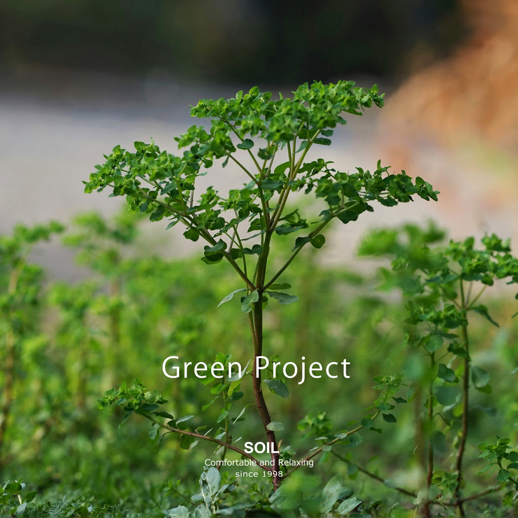 【未来の森につながる〜 3ヶ月連続の『SOIL』Green Project 2026 〜】