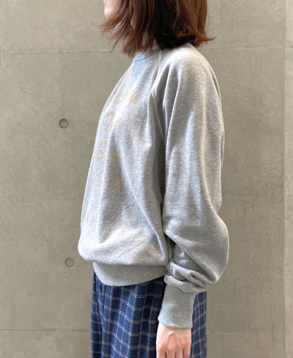 RNHT2451P04(スウェット) "HTS14V2" PRINT SWEAT SHIRT