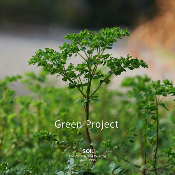 【未来の森につながる〜 3ヶ月連続の『SOIL』Green Project 2026 〜】